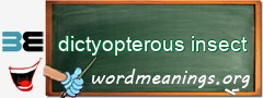 WordMeaning blackboard for dictyopterous insect